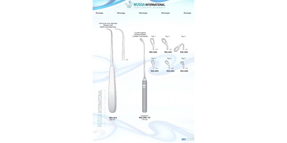 Rhinology 